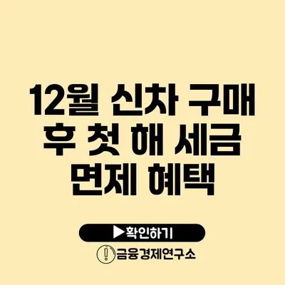 12월 신차 구매 후 첫 해 세금 면제 혜택?