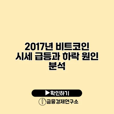 2017년 비트코인 시세 급등과 하락 원인 분석