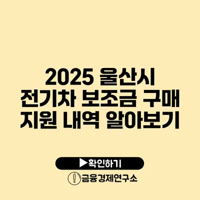 2025 울산시 전기차 보조금 구매 지원 내역 알아보기