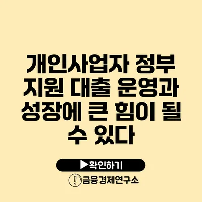 개인사업자 정부 지원 대출 운영과 성장에 큰 힘이 될 수 있다