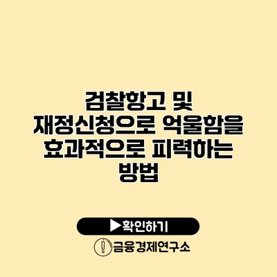 검찰항고 및 재정신청으로 억울함을 효과적으로 피력하는 방법