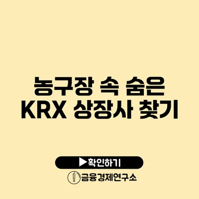 농구장 속 숨은 KRX 상장사 찾기