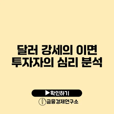 달러 강세의 이면 투자자의 심리 분석