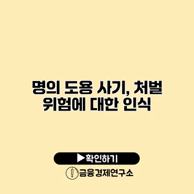 명의 도용 사기, 처벌 위험에 대한 인식