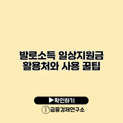 발로소득 일상지원금 활용처와 사용 꿀팁