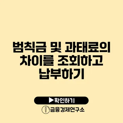 범칙금 및 과태료의 차이를 조회하고 납부하기