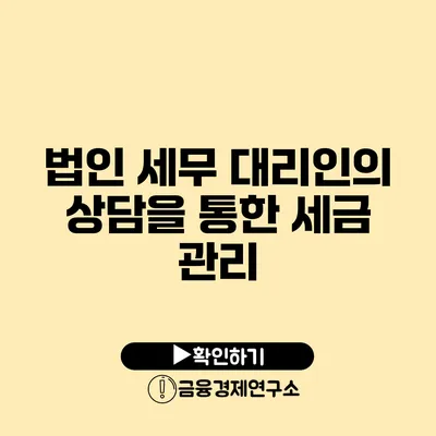 법인 세무 대리인의 상담을 통한 세금 관리