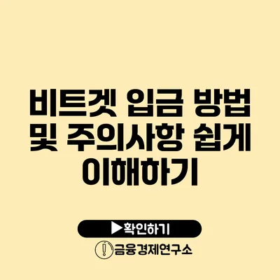 비트겟 입금 방법 및 주의사항 쉽게 이해하기