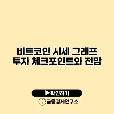 비트코인 시세 그래프 투자 체크포인트와 전망