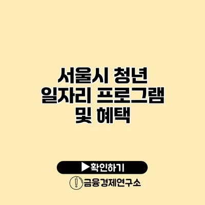 서울시 청년 일자리 프로그램 및 혜택