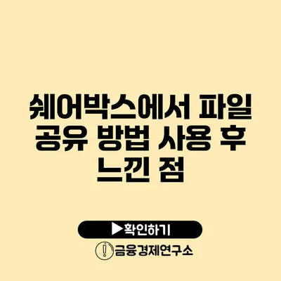 쉐어박스에서 파일 공유 방법 사용 후 느낀 점