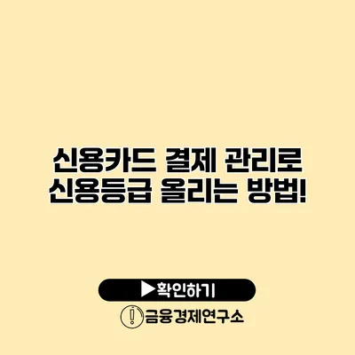신용카드 결제 관리로 신용등급 올리는 방법!