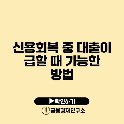 신용회복 중 대출이 급할 때 가능한 방법