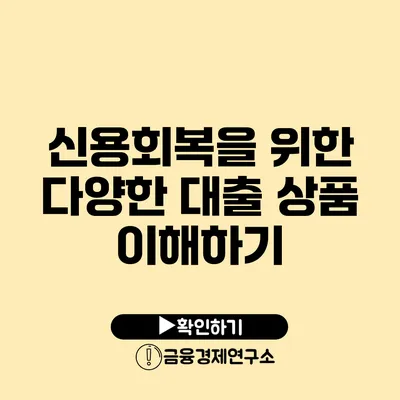 신용회복을 위한 다양한 대출 상품 이해하기