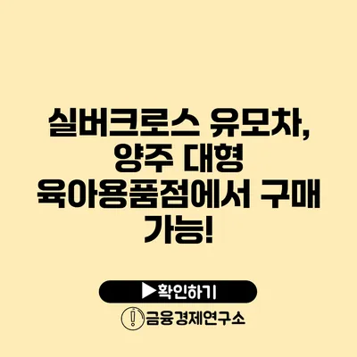 실버크로스 유모차, 양주 대형 육아용품점에서 구매 가능!