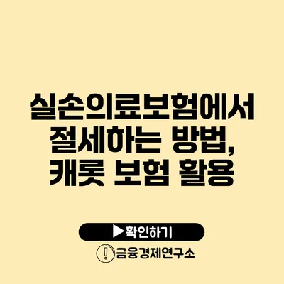 실손의료보험에서 절세하는 방법, 캐롯 보험 활용