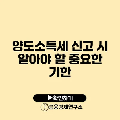 양도소득세 신고 시 알아야 할 중요한 기한