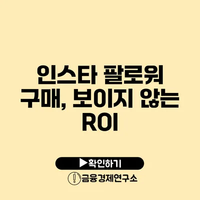 인스타 팔로워 구매, 보이지 않는 ROI