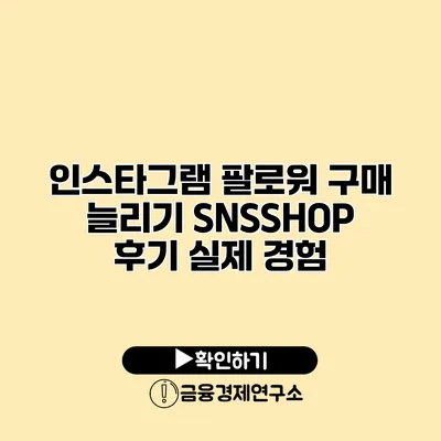 인스타그램 팔로워 구매 늘리기 SNSSHOP 후기 실제 경험