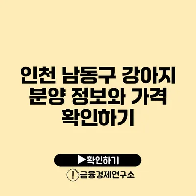 인천 남동구 강아지 분양 정보와 가격 확인하기