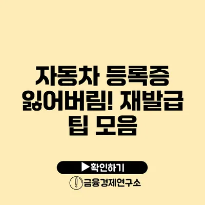 자동차 등록증 잃어버림! 재발급 팁 모음