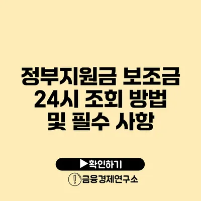 정부지원금 보조금 24시 조회 방법 및 필수 사항