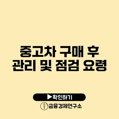 중고차 구매 후 관리 및 점검 요령