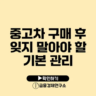 중고차 구매 후 잊지 말아야 할 기본 관리