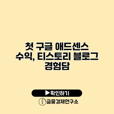 첫 구글 애드센스 수익, 티스토리 블로그 경험담