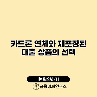 카드론 연체와 재포장된 대출 상품의 선택