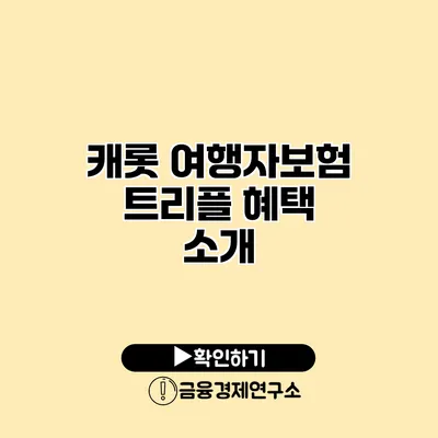 캐롯 여행자보험 트리플 혜택 소개