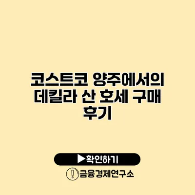 코스트코 양주에서의 데킬라 산 호세 구매 후기