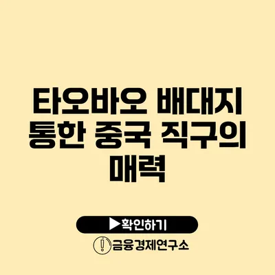 타오바오 배대지 통한 중국 직구의 매력