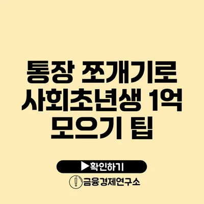 통장 쪼개기로 사회초년생 1억 모으기 팁