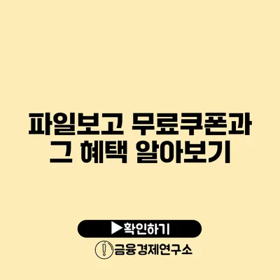 파일보고 무료쿠폰과 그 혜택 알아보기