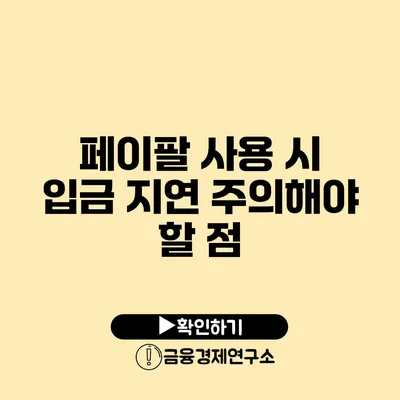 페이팔 사용 시 입금 지연 주의해야 할 점