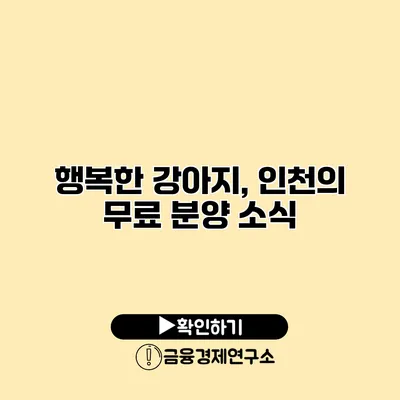 행복한 강아지, 인천의 무료 분양 소식