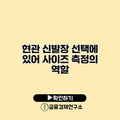 현관 신발장 선택에 있어 사이즈 측정의 역할