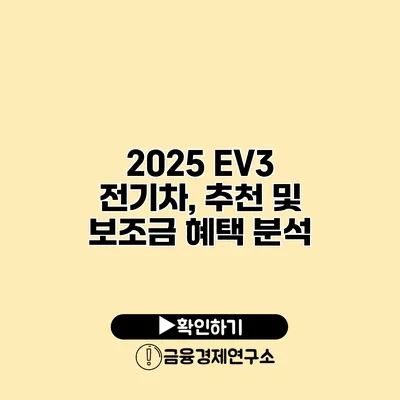 2025 EV3 전기차, 추천 및 보조금 혜택 분석