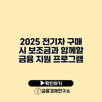 2025 전기차 구매 시 보조금과 함께할 금융 지원 프로그램