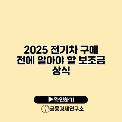 2025 전기차 구매 전에 알아야 할 보조금 상식