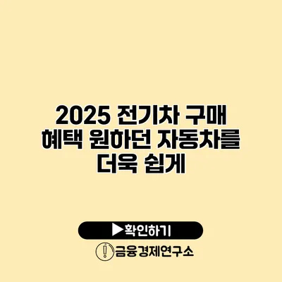 2025 전기차 구매 혜택 원하던 자동차를 더욱 쉽게