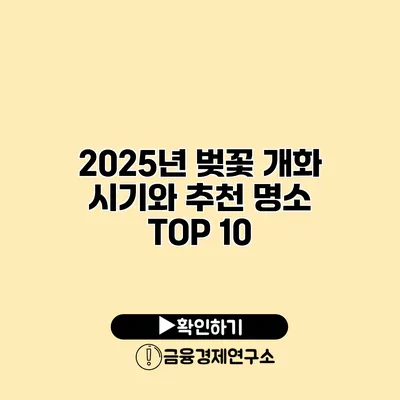 2025년 벚꽃 개화 시기와 추천 명소 TOP 10