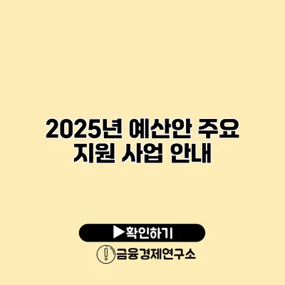 2025년 예산안 주요 지원 사업 안내