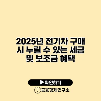2025년 전기차 구매 시 누릴 수 있는 세금 및 보조금 혜택