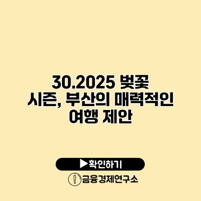 30.2025 벚꽃 시즌, 부산의 매력적인 여행 제안