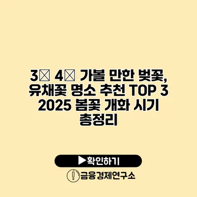 3月 4月 가볼 만한 벚꽃, 유채꽃 명소 추천 TOP 3 2025 봄꽃 개화 시기 총정리