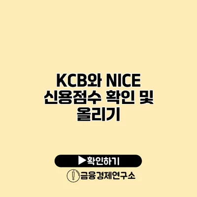 KCB와 NICE 신용점수 확인 및 올리기