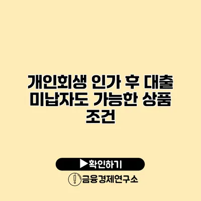 개인회생 인가 후 대출 미납자도 가능한 상품 조건