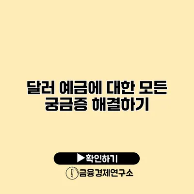 달러 예금에 대한 모든 궁금증 해결하기